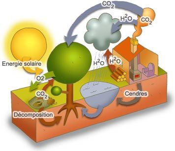Cycle du pellets